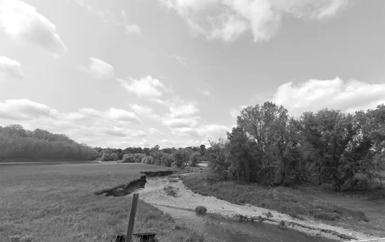 DNR investigating fish kill in Hecker Creek